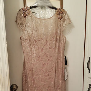 Adrianna Papell Embellished Lace Gown, size 14